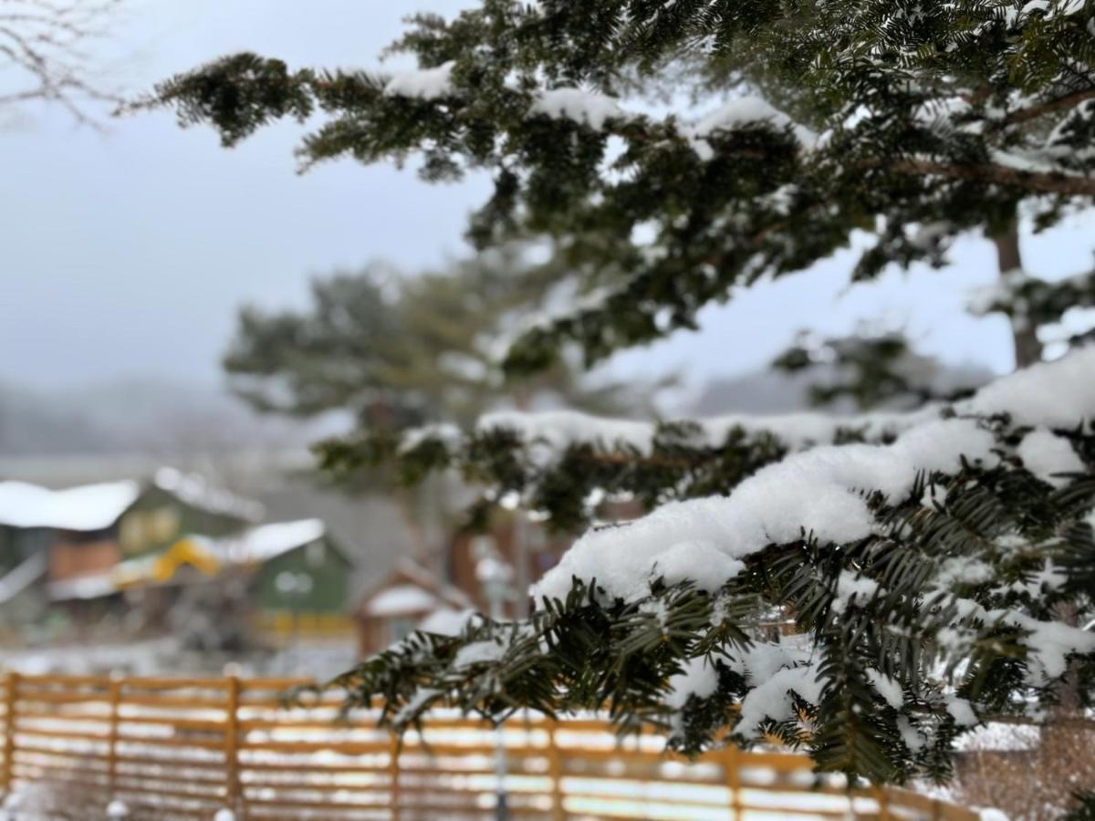Honey Bear Pension Pyeongchang Eksteriør bilde